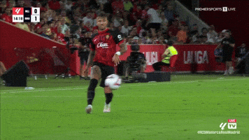 Real Madrid GIF