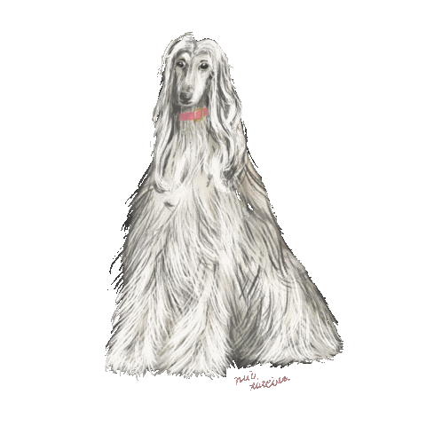 Dog Sticker