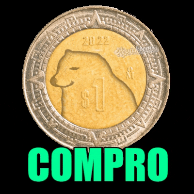 Moneda Compro GIF by Revicheems