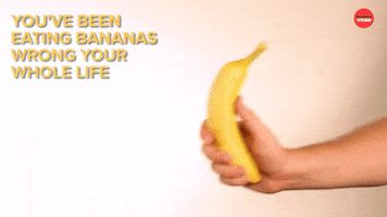 6 Ways To Live Your Life Better GIF by BuzzFeed