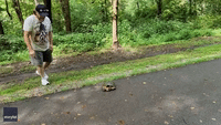 Ohio Man Resembling Luke Skywalker 'Forces' Snapping Turtle off Bike Path