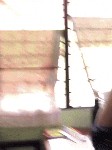 Black Crow GIF