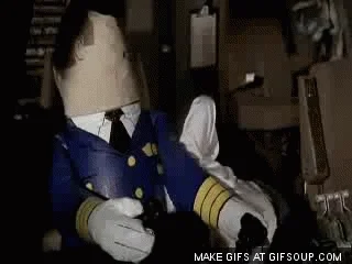 pilot airplane GIF