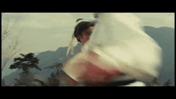 kung fu fight GIF by Film Society of Lincoln Center
