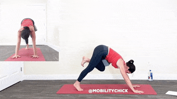 mobilitychick baseball exercise coach flow GIF
