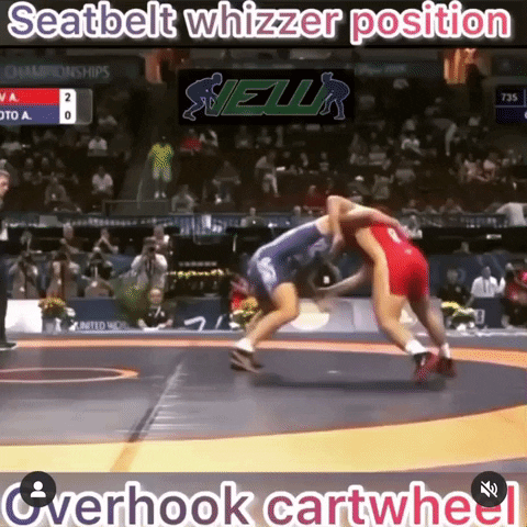 Overhook Cartwheel GIF by Hopkins Wrestling