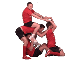 Buelach Sticker by Bülach Floorball