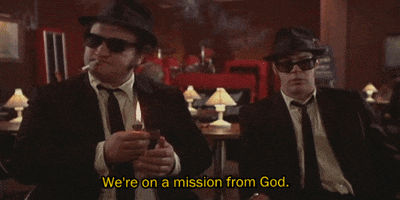 Witnesses Blues Brother GIF