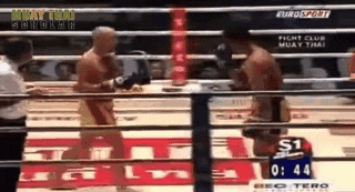 Muay Thai GIF