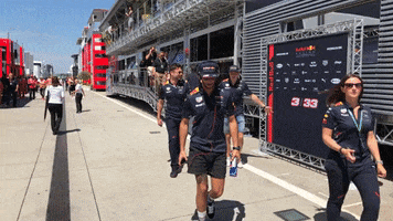 redbullracing happy cool excited drink GIF
