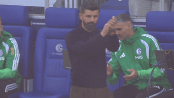 Football Applause GIF by FC Schalke 04