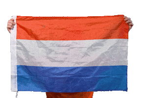 Nederlands Elftal Ek Sticker by Immer Hansi
