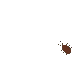 G Cockroach Sticker