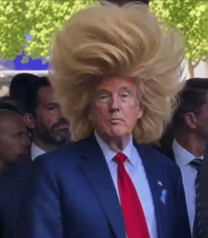 Hair Trump GIF