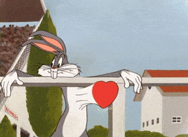 GIF by Linhas Corrente