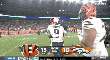 Cincinnati Bengals Hug GIF by NFL