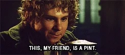 drunk the lord of the rings GIF