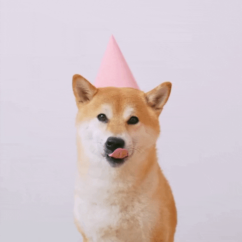 puppy happy birthday gif