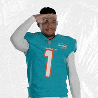 Looking Miami Football GIF by Miami Dolphins