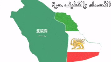 Saudi Arabia GIF