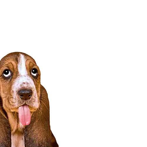 Petsfluence Sticker