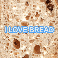 Bread Puppet GIF by GIPHY Studios Originals
