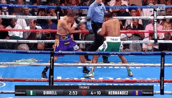 Knock Out GIF by SHOWTIME Sports