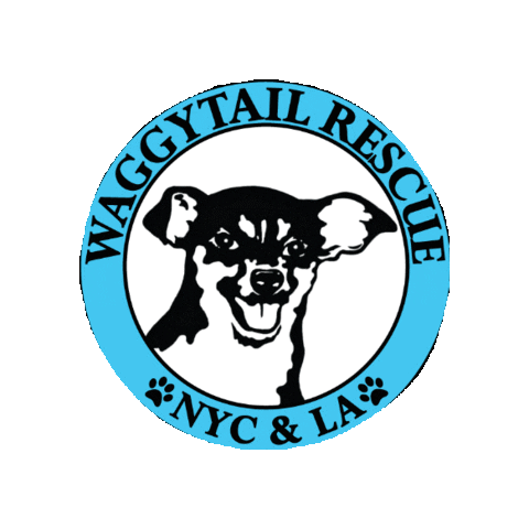 Waggytail Rescue Sticker
