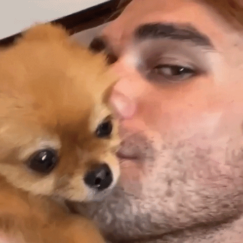 giphy.gif?cid=5e214886ea9737bf0641d65dab