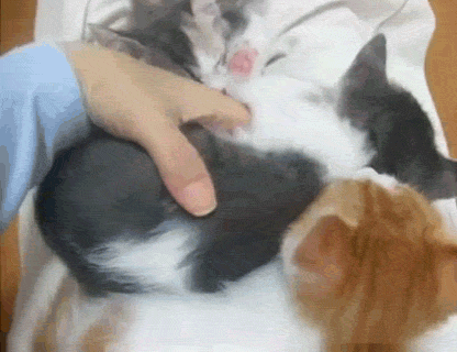cuteness