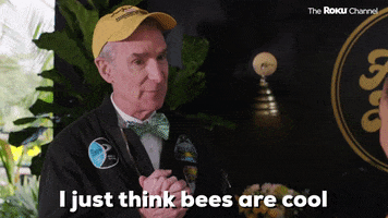 Bill Nye Bees GIF by The Roku Channel