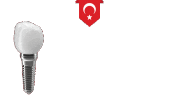 Turkey Istanbul Sticker by Turadent Clinic