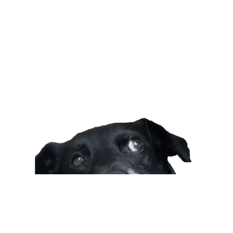 Malamarianne Sticker by dariadaria