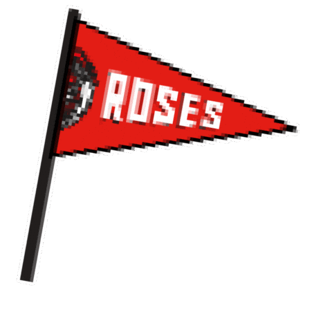 Lancaster University Sport Sticker by LUSU