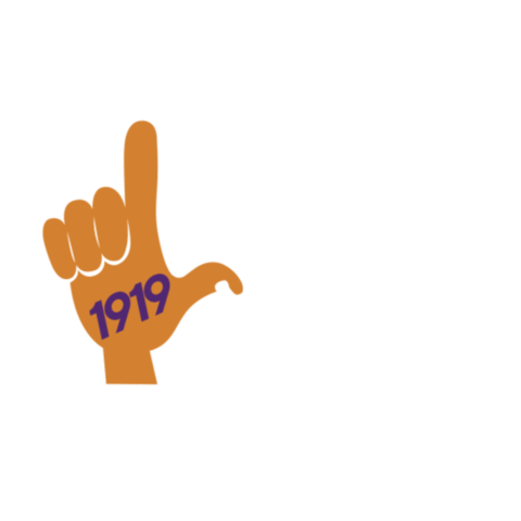 Leo Deputado Sticker by Guia Porto Velho