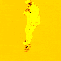 200.gif