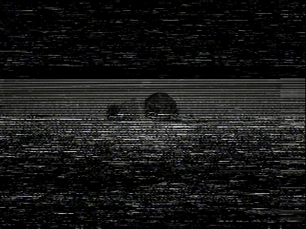 Featured image of post View 16 Vhs Static Overlay