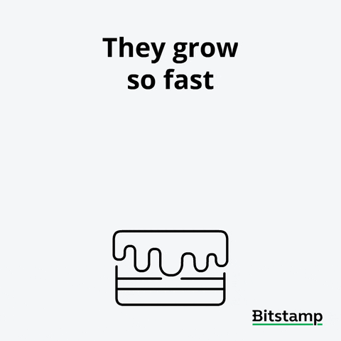 Crypto Eth GIF by Bitstamp