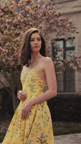 Brunschwig & Fils GIF