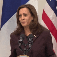 200.gif?cid=fc005b08df610e79d339ff974bba12f02d48408af9ef43c4&rid=200.gif&ct=g