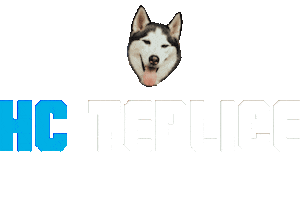 Hokej Sticker by HC Teplice