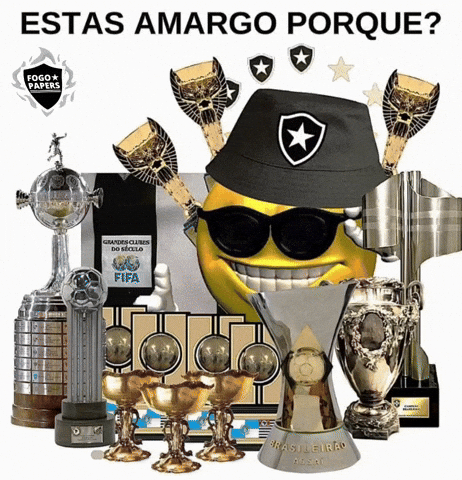 Bfr Alvinegro GIF