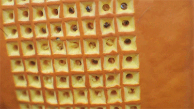 tetris