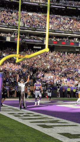 GIF by Minnesota Vikings
