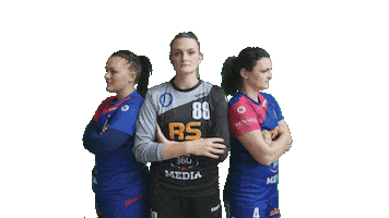 Vater Jahn Peine 1. Handball Damen Sticker