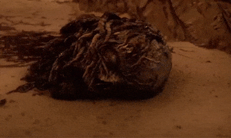 Vecna Sinking GIF