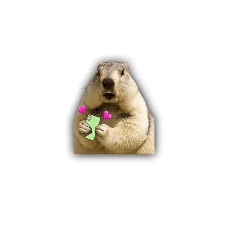 Love GIF