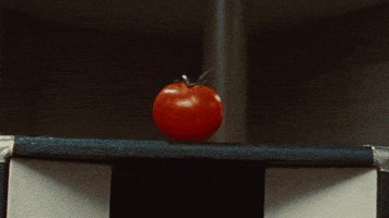 New Jersey Tomato GIF by Bleachers