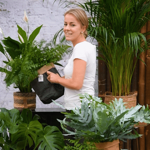GreenMeUp GIF - Find & Share on GIPHY