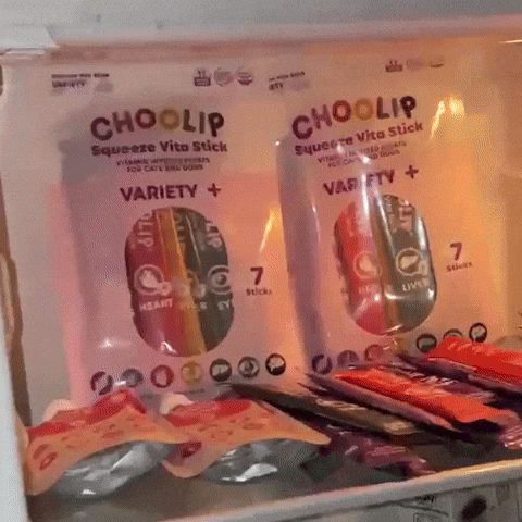 Dog Food Corgi GIF